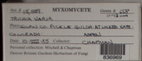 Image Associated With the Occurence